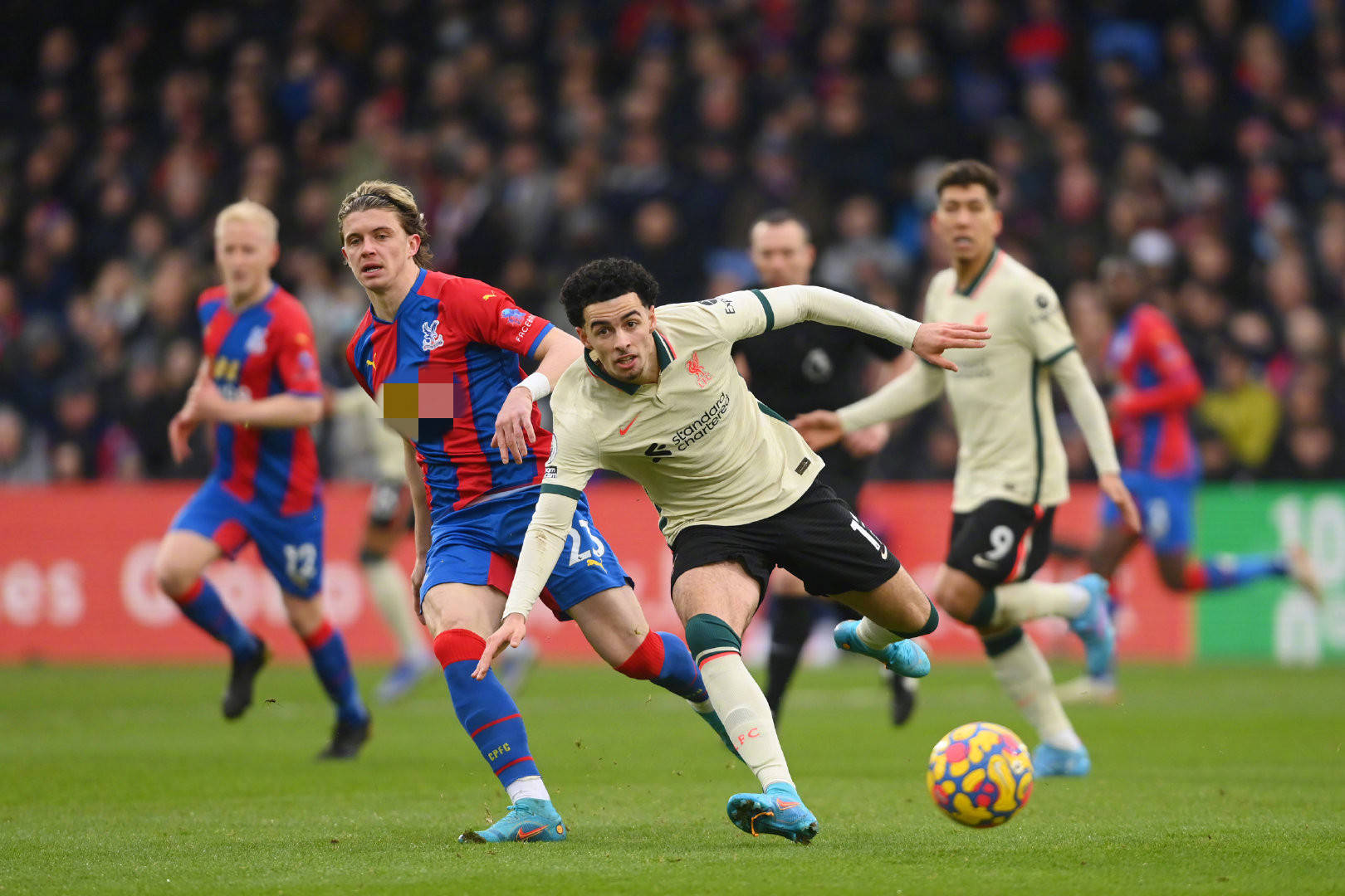 在谈到年龄 在谈到年龄